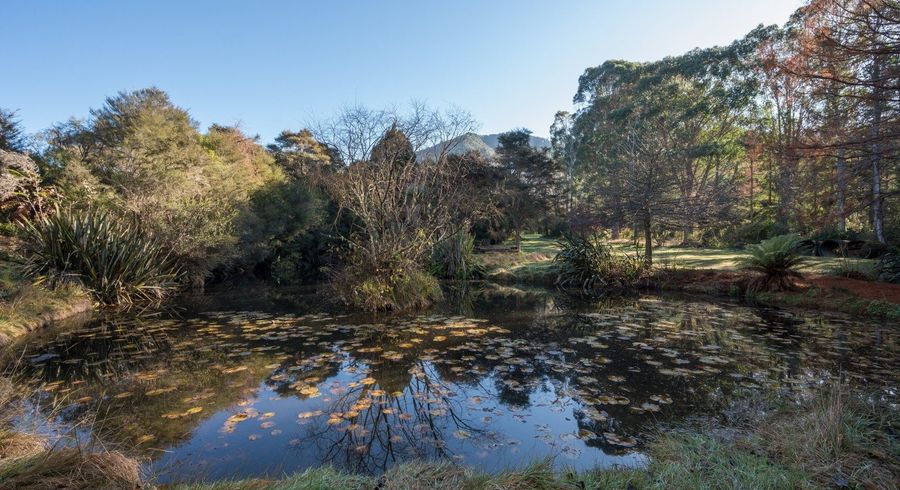  at 168 Graham Valley Road, Motueka, Tasman, Nelson / Tasman