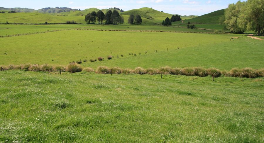  at 210 Douglas Road, Stratford East, Stratford, Taranaki