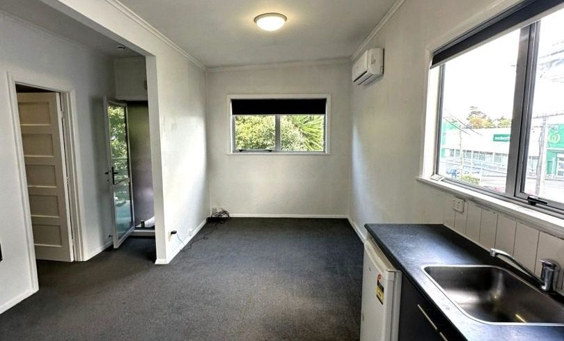  at 1/131 Williamson Avenue, Grey Lynn, Auckland City, Auckland