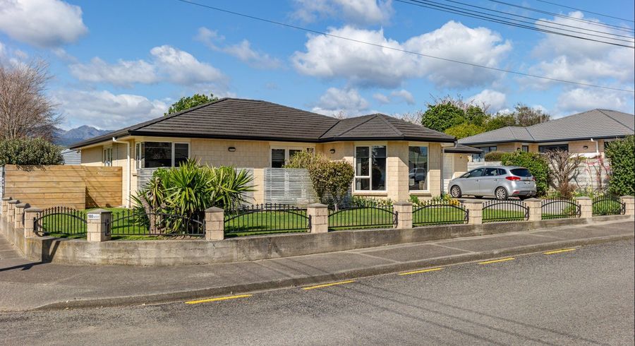  at 180 Bath Street, Levin, Levin