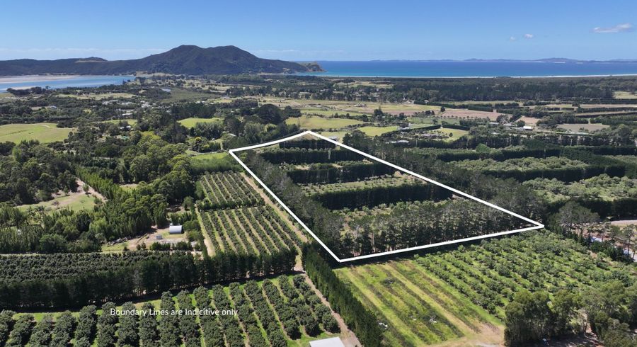  at 43 Burnage Road, Pukenui, Far North, Northland