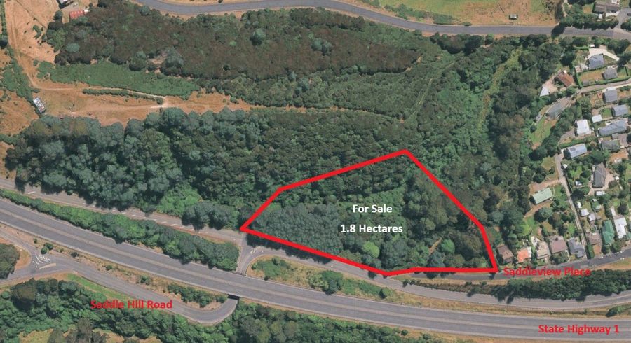  at 40 Saddleview Place, Fairfield, Dunedin, Otago