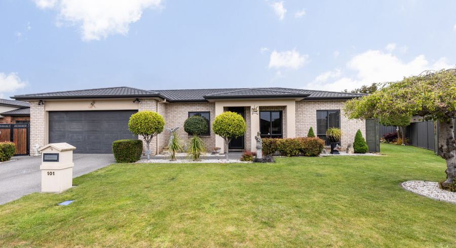  at 101 Northwood Avenue, Mahora, Hastings