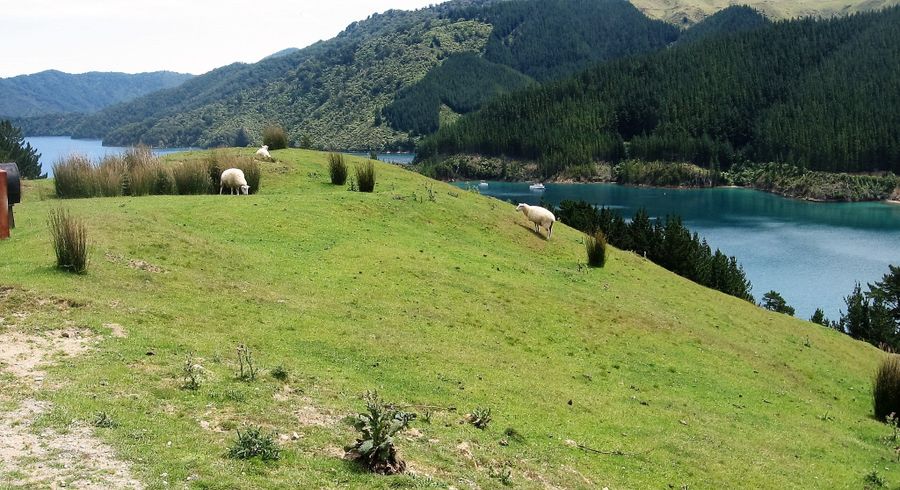  at 0 Cissy Bay Road, Cissy Bay, Marlborough Sounds, Marlborough, Marlborough