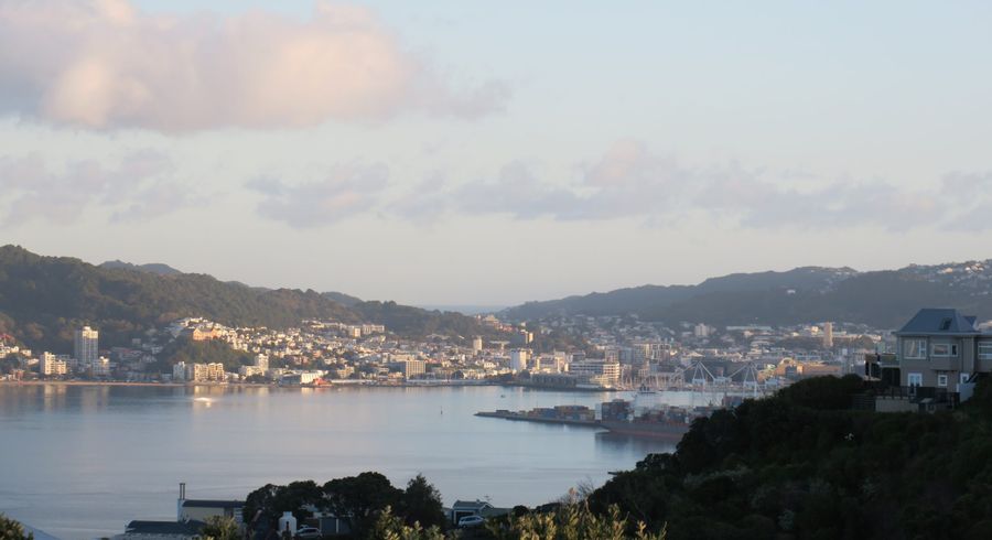  at 42 Lohia Street, Khandallah, Wellington, Wellington