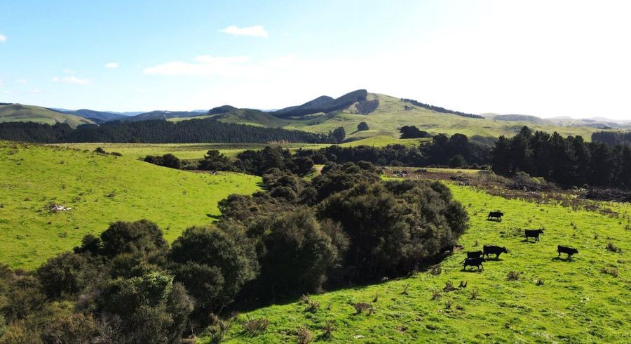  at 8300 Route 52, Dannevirke, Tararua, Manawatu / Whanganui