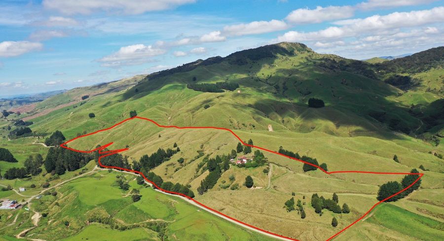  at 3319 Whakarau Road, Te Karaka