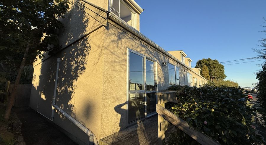  at 17A Aitken Place, Mornington, Dunedin, Otago