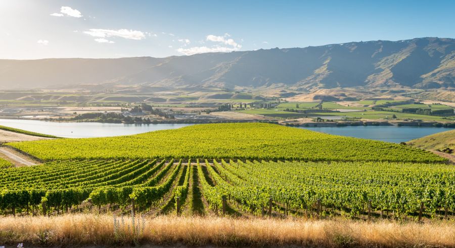  at 286 Lakefront Terrace, Tarras-Cromwell Road, Cromwell, Central Otago, Otago