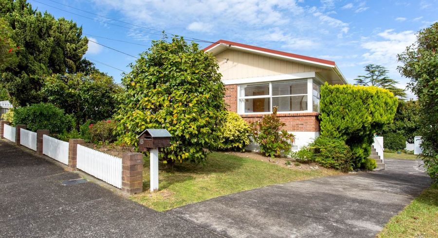  at 45 Peter Buck Road, New Windsor, Auckland City, Auckland