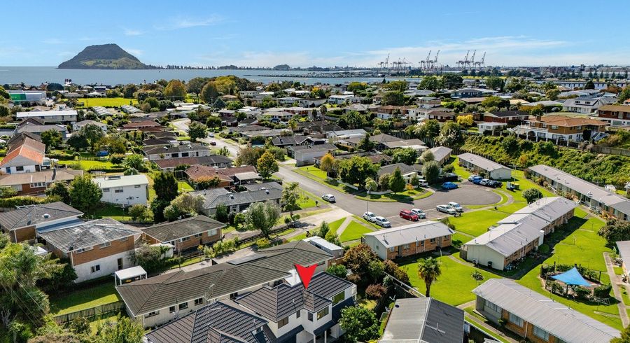  at 48A Pine Avenue, Otumoetai, Tauranga, Bay Of Plenty