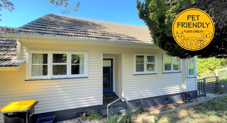  at 62 Waimea Avenue, Calton Hill, Dunedin, Otago