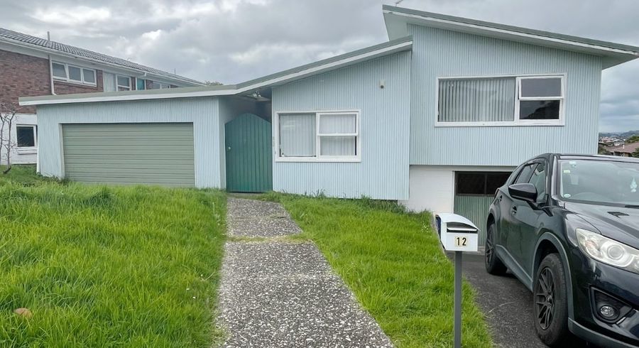  at 12 Holdaway Avenue, Northcote, North Shore City, Auckland