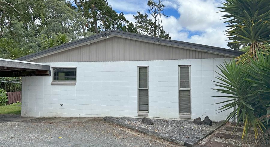  at 17 Richan Street, Glenview, Hamilton