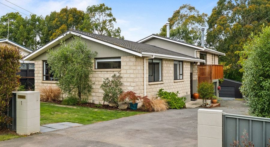  at 1 Viscount Road, Waldronville, Dunedin, Otago