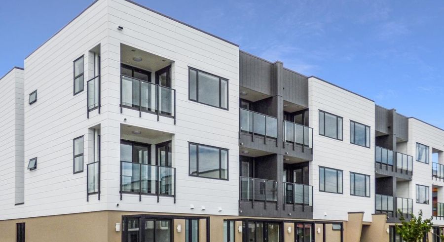  at 113/98 Haverstock Road, Sandringham, Auckland City, Auckland