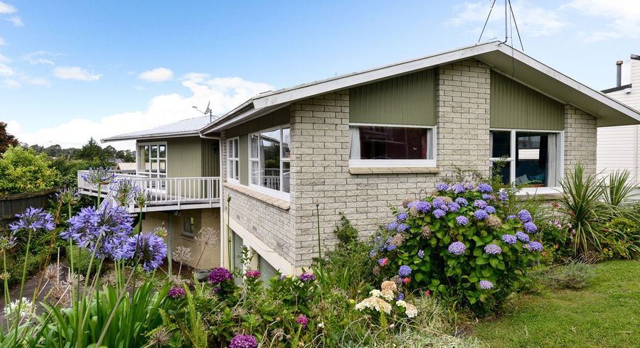  at 5 Pelorus Street, Glenview, Hamilton