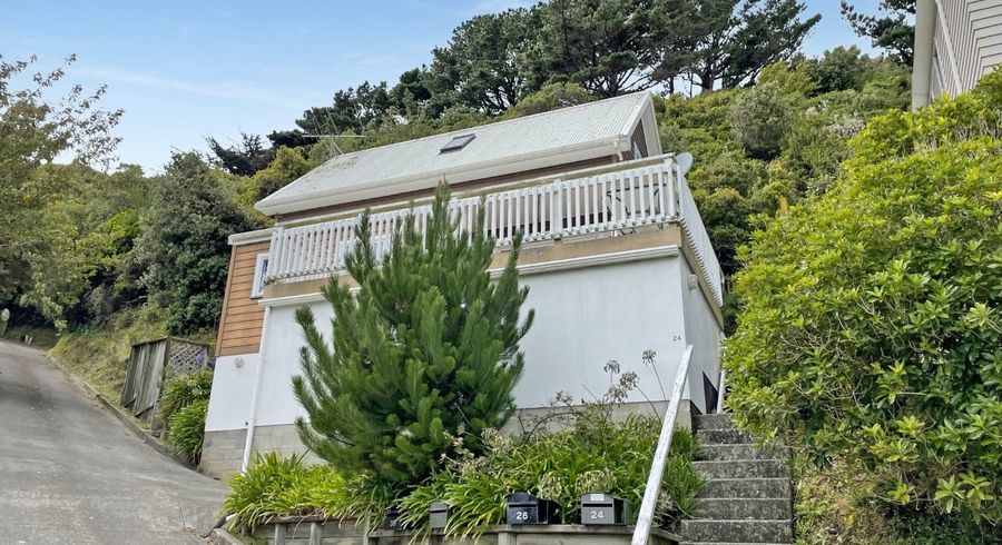  at 24 Vancouver Street, Kingston, Wellington, Wellington