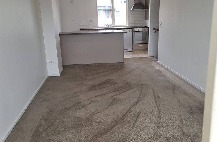  at 43 Kirikiri Lane, East Tamaki, Auckland