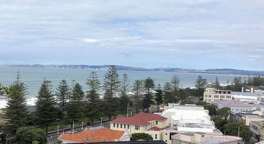  at 3/8 Seaview Terrace, Bluff Hill, Napier, Hawke's Bay