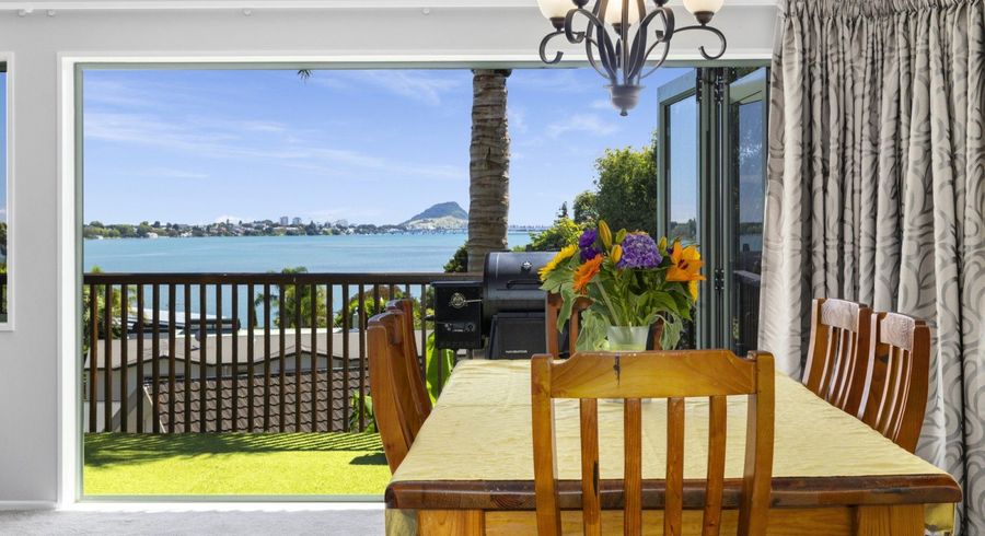  at 202 Maungatapu Road, Maungatapu, Tauranga