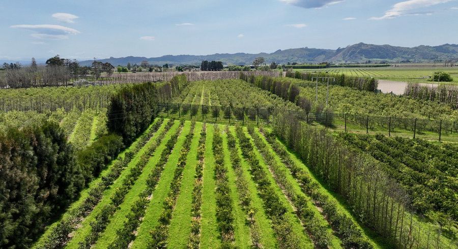  at 19 Pilmer Road, Makauri, Gisborne