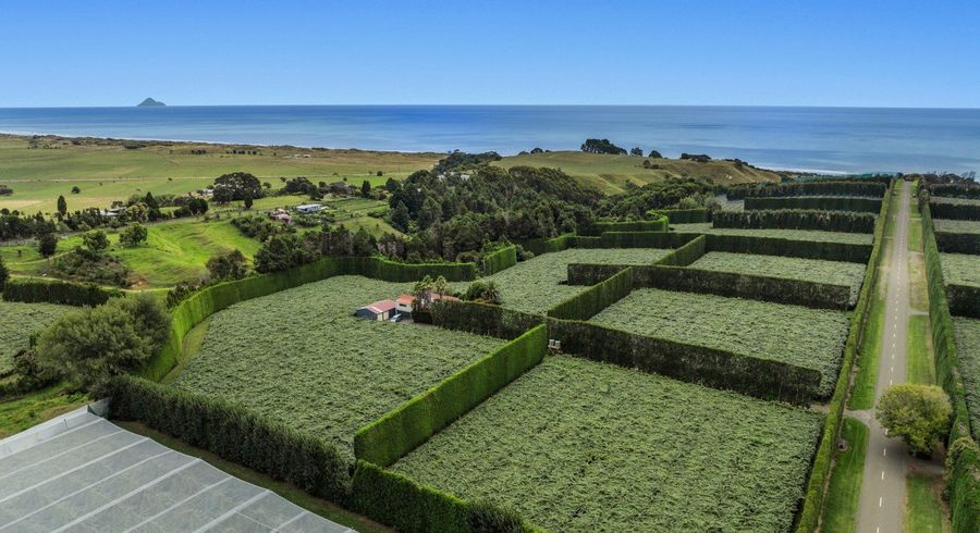  at 106 Beach Road, Tirohanga, Opotiki, Bay Of Plenty