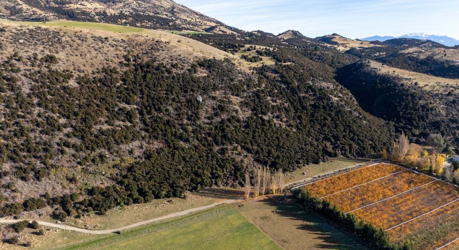  at 132 Willowbank Road, Queensberry, Wanaka, Otago