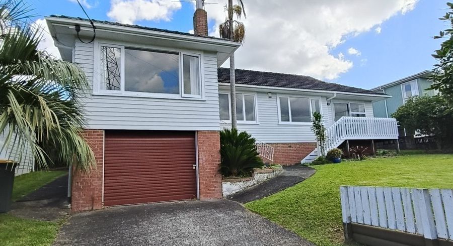  at 9 Wakeling Ave, Te Atatu South, Waitakere City, Auckland