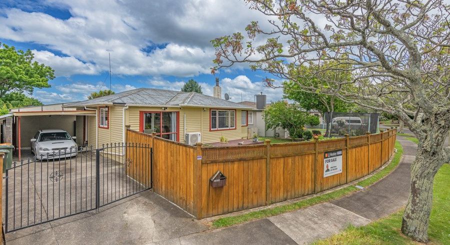  at 24 Snowdon Avenue, Terrace End, Palmerston North