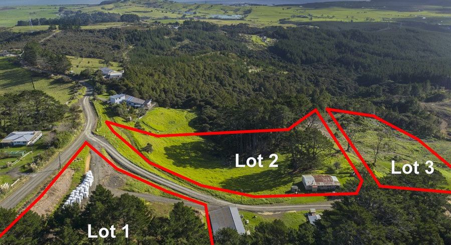  at 203 Tuhirangi Road, Makarau, Rodney, Auckland