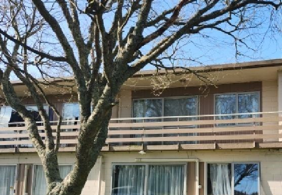  at 6/16 Thames Street, Claudelands, Hamilton, Waikato