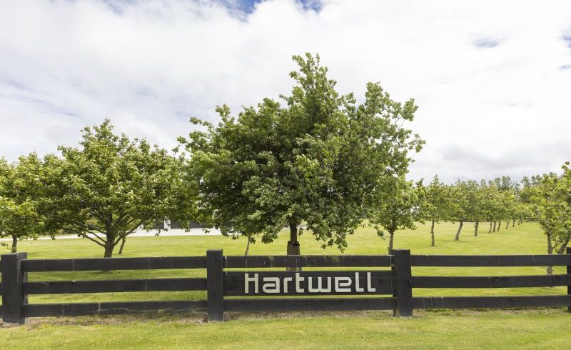  at 62 Hartwell Drive, Kelvin Grove, Palmerston North