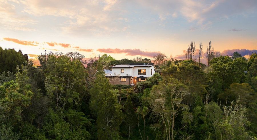  at 17A Ranfurly Avenue, Fairfield, Hamilton