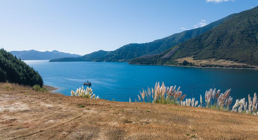  at 815 Manaroa Road, Marlborough Sounds, Marlborough, Marlborough