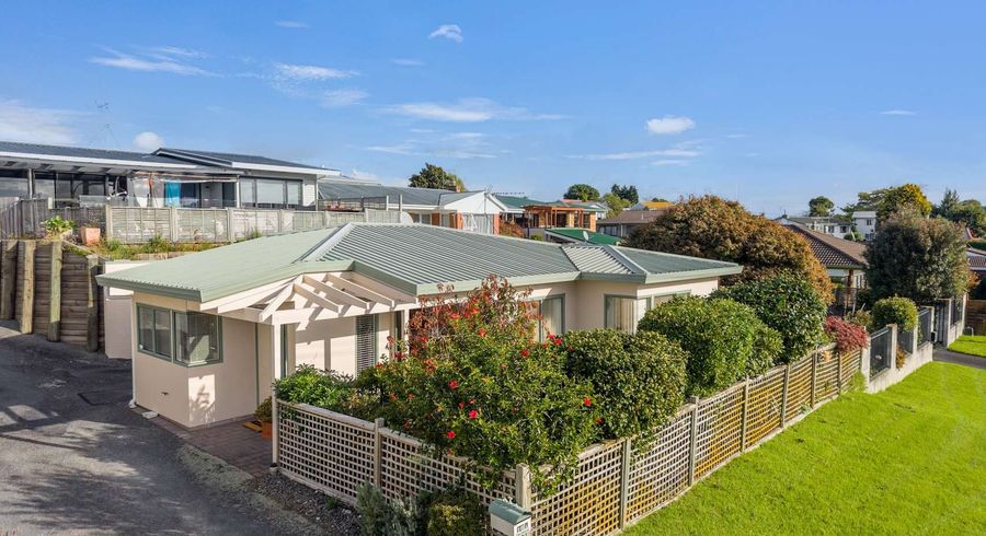  at 16A Wickham Place, Hairini, Tauranga, Bay Of Plenty