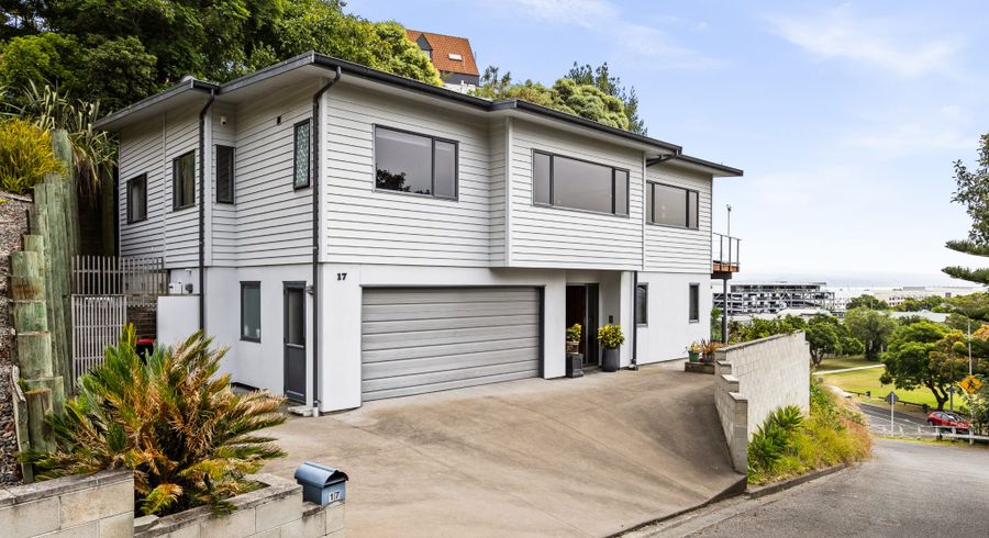  at 17 Hospital Lane, Hospital Hill, Napier, Hawke's Bay