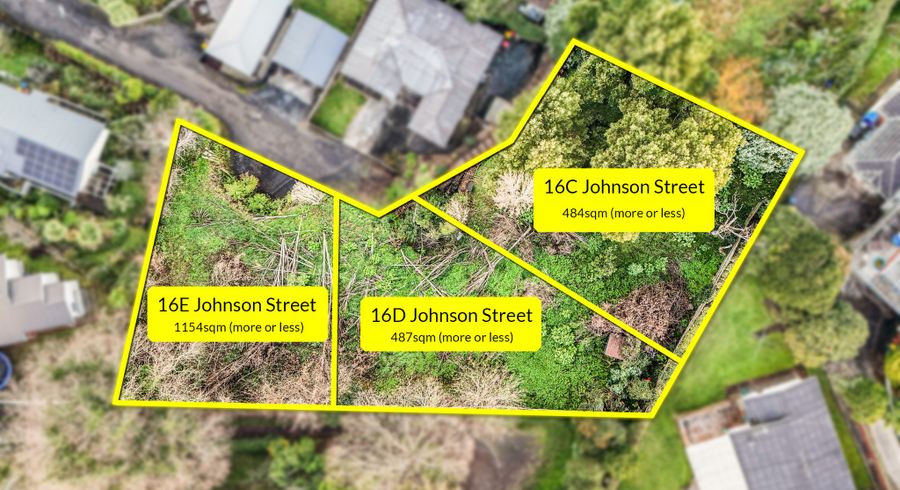  at 16D Johnson Street, Dinsdale, Hamilton, Waikato