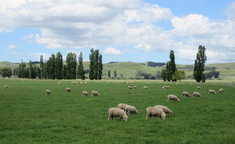  at 3389 State Highway 2, Waipukurau