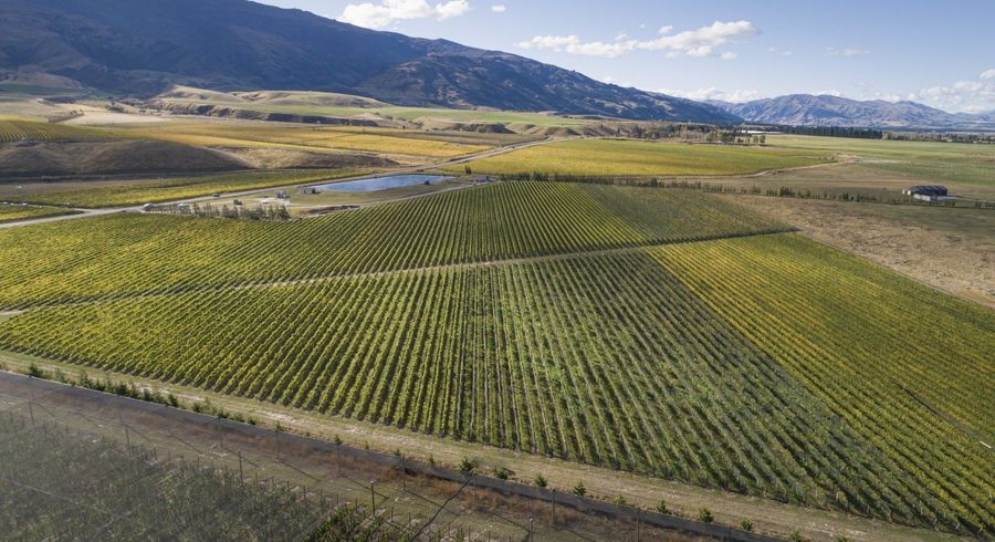  at Ata Mara, 1427 Luggate-Cromwell Road and 67G Rush Lane, Cromwell, Central Otago, Otago