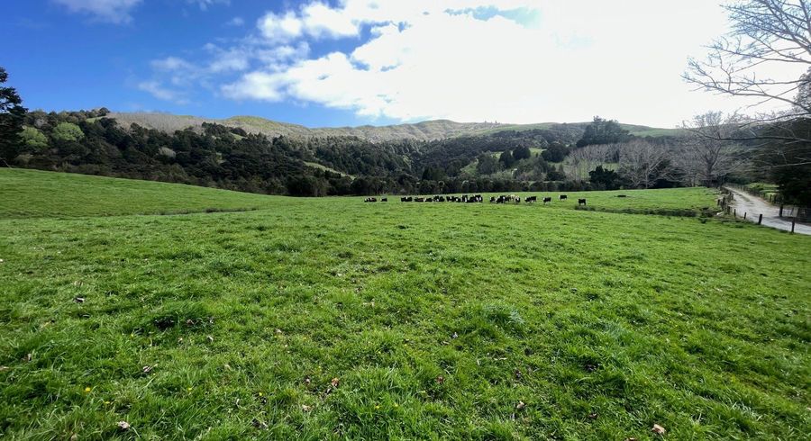  at 1149 Whangaripo Valley Road, Matakana, Rodney, Auckland