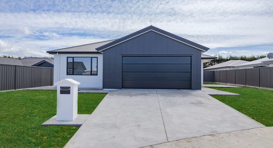  at 41 Wai Whatu Street, Meeanee, Napier