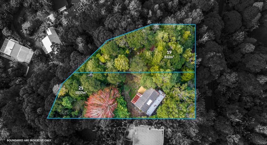  at 19 & 21 Paturoa Road, Titirangi, Waitakere City, Auckland