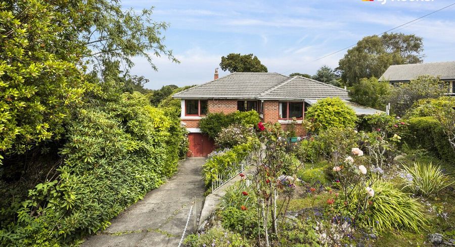  at 5 Broomlea Street, Wakari, Dunedin