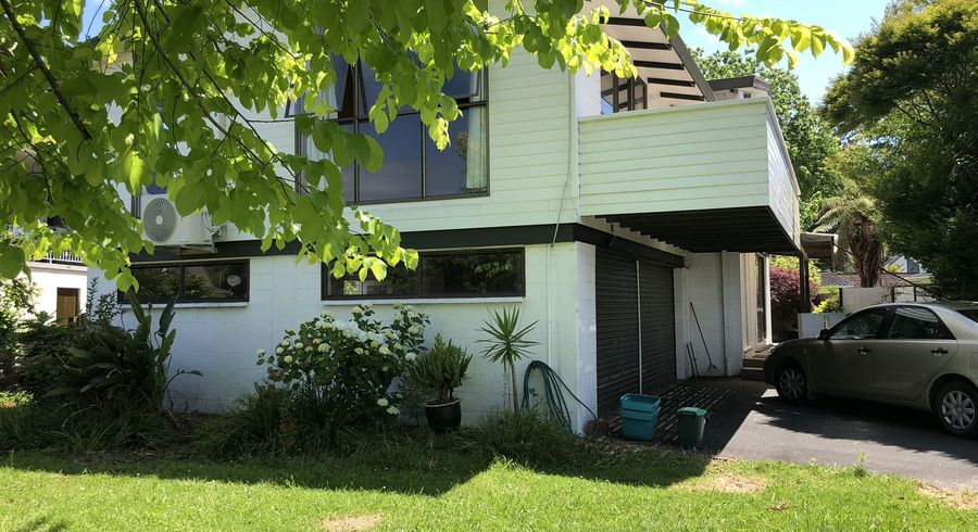  at 29 Orchard Av, Enderley, Hamilton, Waikato