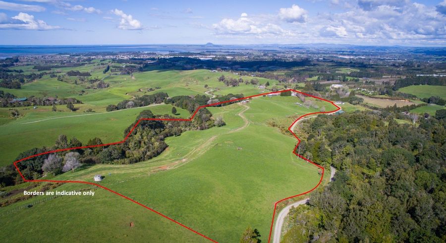  at 294B BUSBY ROAD, Katikati, Western Bay Of Plenty