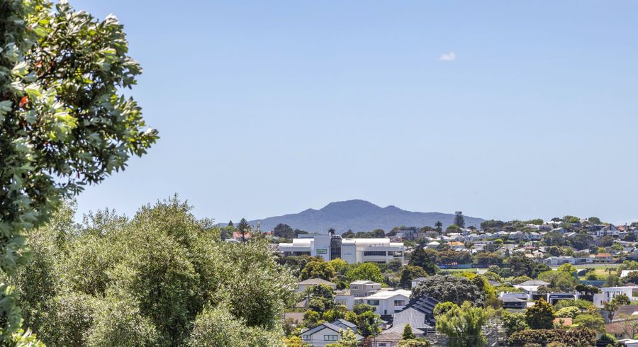  at 4/17A Kawau Road, Greenlane, Auckland City, Auckland