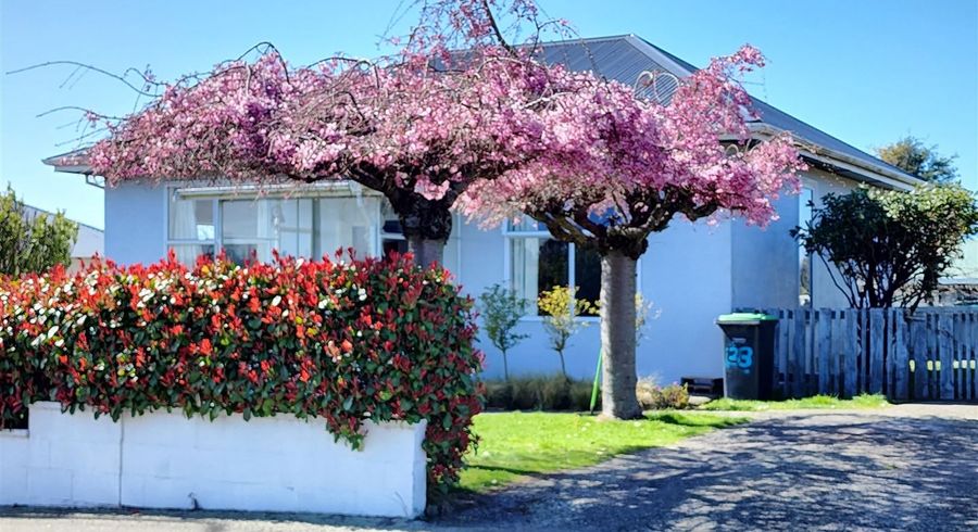  at 23 Newman Street, Waimataitai, Timaru