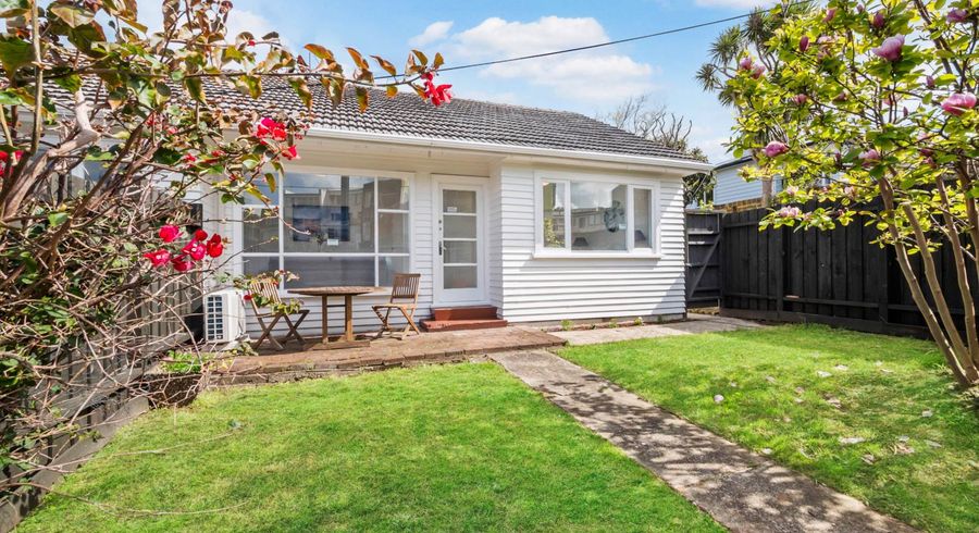  at 19 Lagoon Drive, Panmure, Auckland