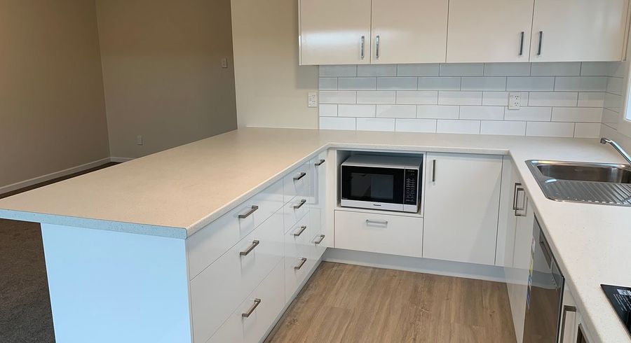  at 6B Ann Street, Roslyn, Dunedin, Otago